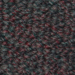 Basic - Chantrelle