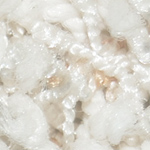 Behold Fleck - Powdered Sugar Fleck
