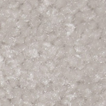 Captivating - Neutral Ground