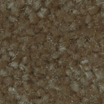 Captivating - Praline