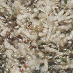 Delicate Color - Gumbo