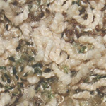 Delicate Color - Toasted Macaroon