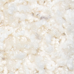 Delicate Twist - Biscuit