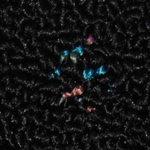 Commercial Carpet