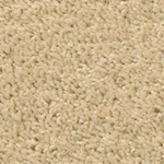 Spotlight - Balsa Wood