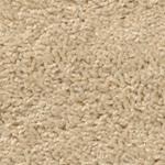 Spotlight - Bisque