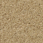 Spotlight - Khaki