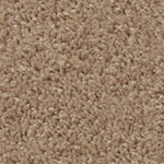 Spotlight - Wheatberry