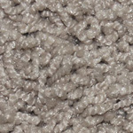 Textured Charm and Textured Beauty - Sahara