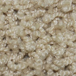 Textured Charm and Textured Beauty - Sand Dune