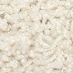 Textured Charm and Textured Beauty - Sea Shell