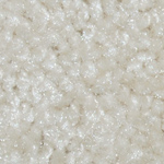 Untamed, Unreal, & Unmistakeable - Angora