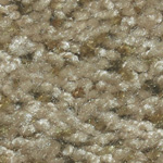 Yucatan - Sycamore Tan